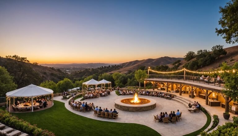 anaheim hills vip experience